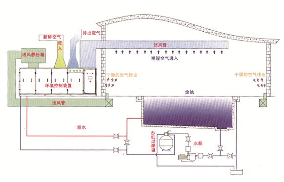 瀚宇水處理：如果做好這些，奧運(yùn)泳池怎么會(huì)“綠”?